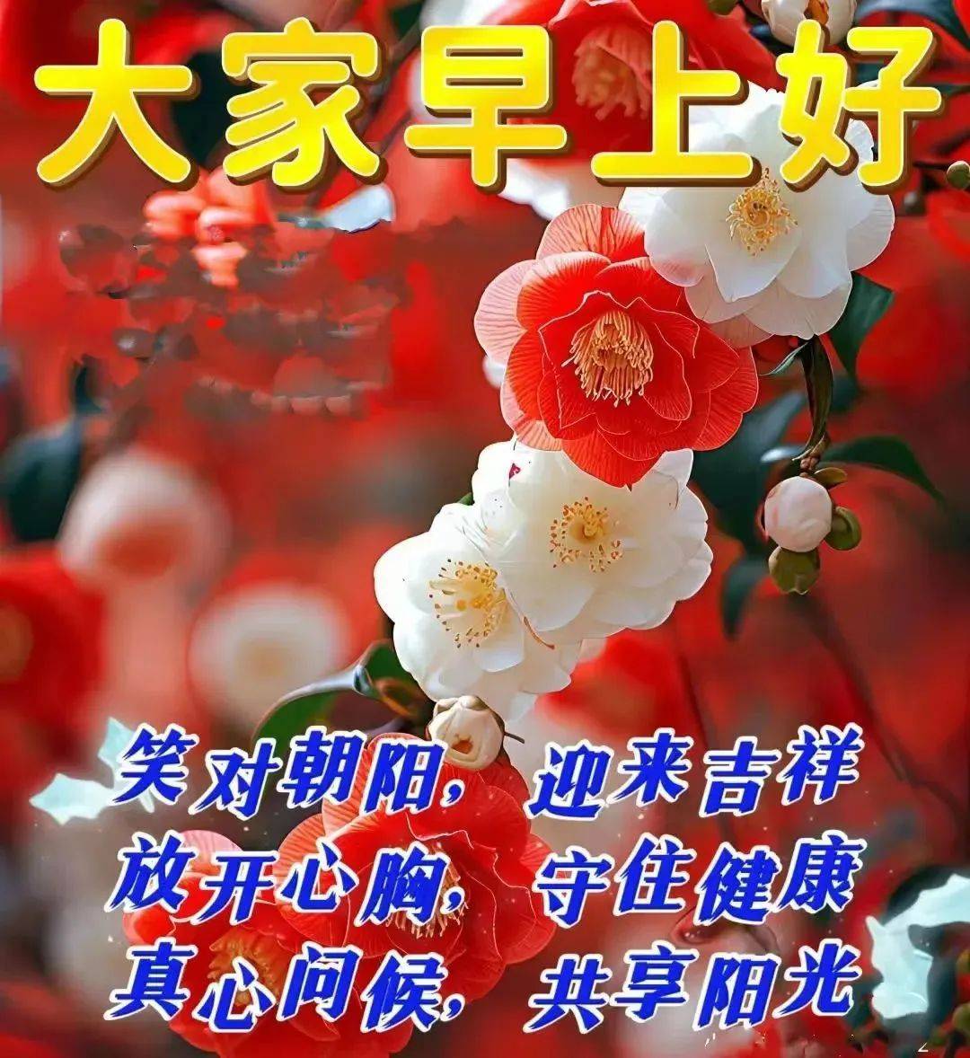 15张特漂亮的大家早上好图库,祝福问候,一切美好!
