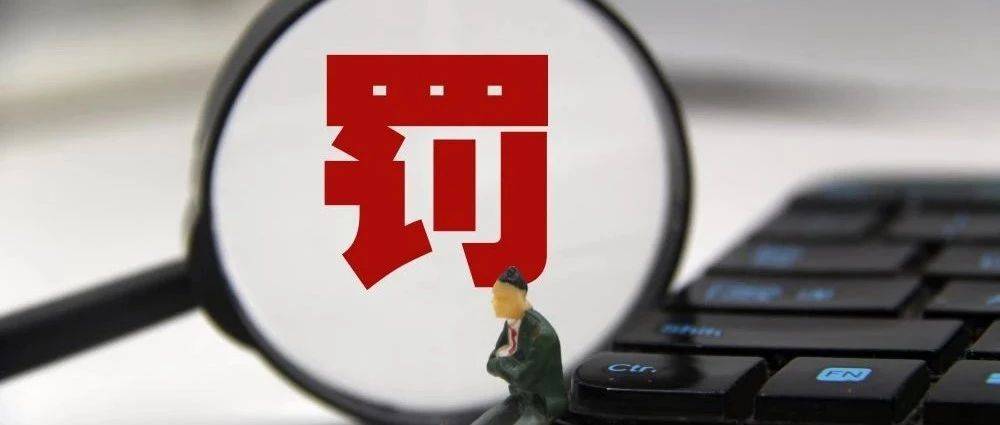 一老牌投顾副董事长，被罚！