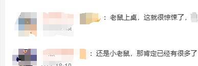 老鼠上桌吃自助？北京一火锅店上演惊人一幕