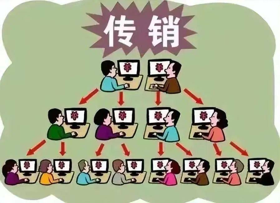 网课销售会不会是传销