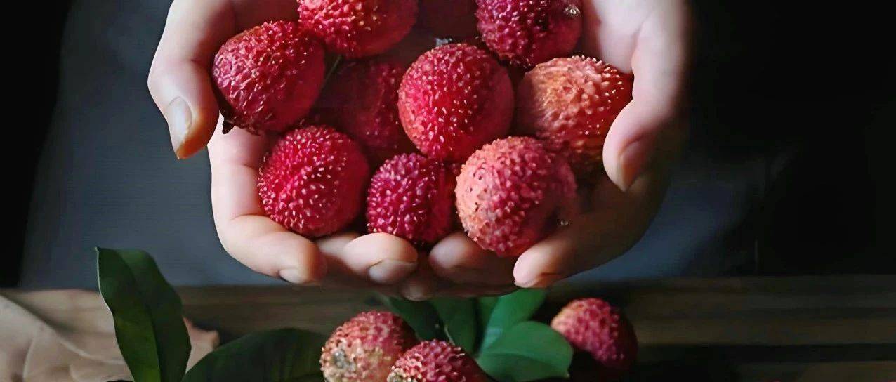 荔枝壳褶皱里,藏着无名的掌纹_伯庸_历史_长安
