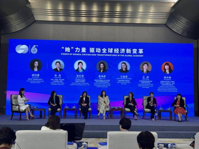 跨国公司领导青岛峰会地点__青岛峰会参会国家
