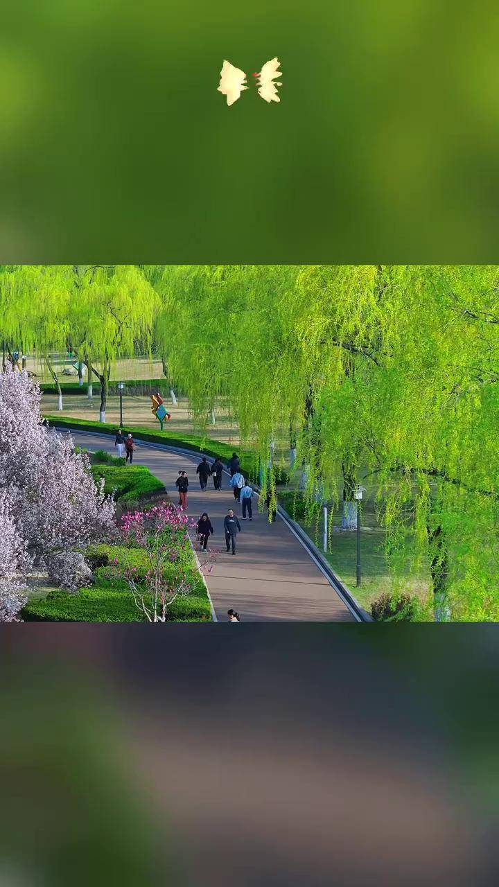 红石公园:三月的春日之约 济南市莱芜区红石公园春景 感受春天的脚步