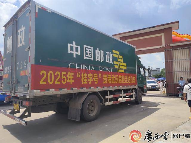 广西鸡嘴荔枝与桂味哪个好吃__合浦香山鸡嘴荔枝拍卖