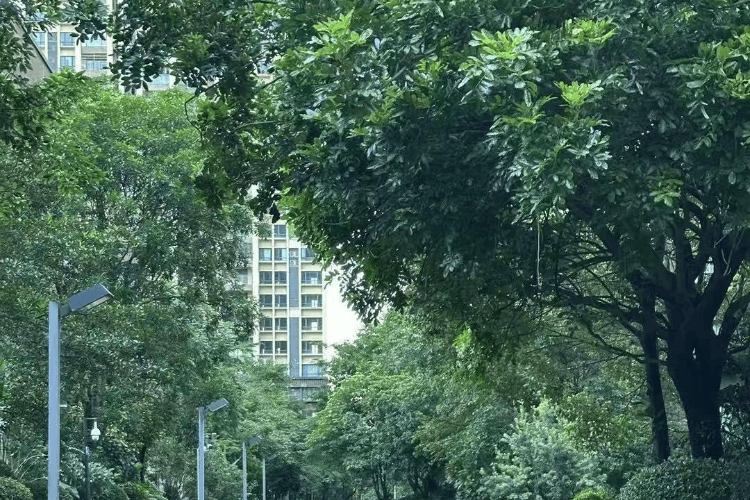 另类文学:广东省地震局回应清远地震：启动应急响应，暂无财产损失报告