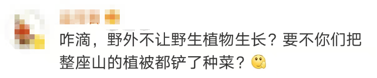 696969大但人文艺术价值:大片连根铲除！深圳一公园“火速响应”引质疑，网友为它喊冤