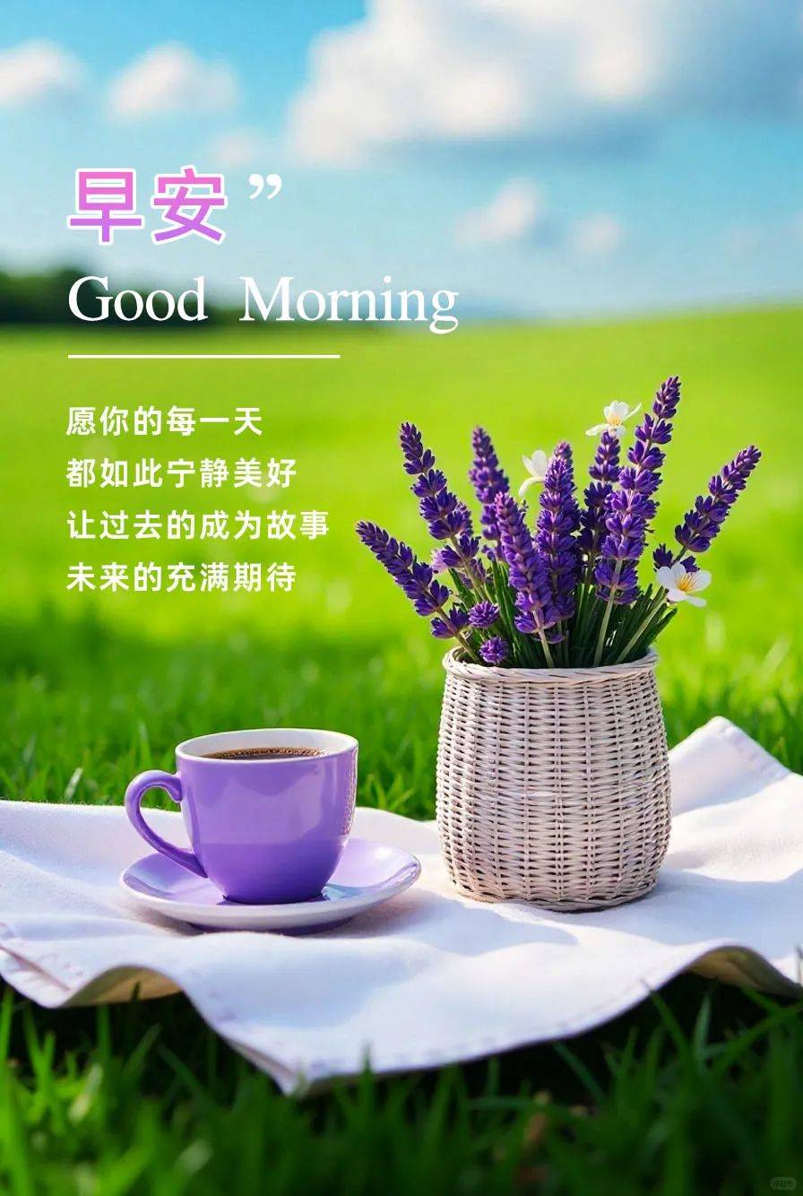 "128张早安早上好唯美图片:晨光吉祥,新的一天,随遇,随喜,随安!
