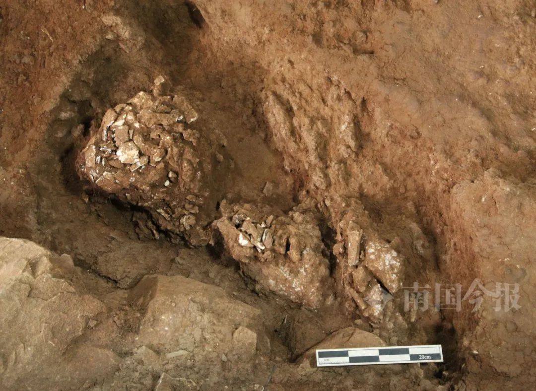 柳州发现3万年前古墓，女性墓主蜷缩长眠，牙齿万年不腐