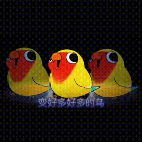摇头小鹦鹉表情包