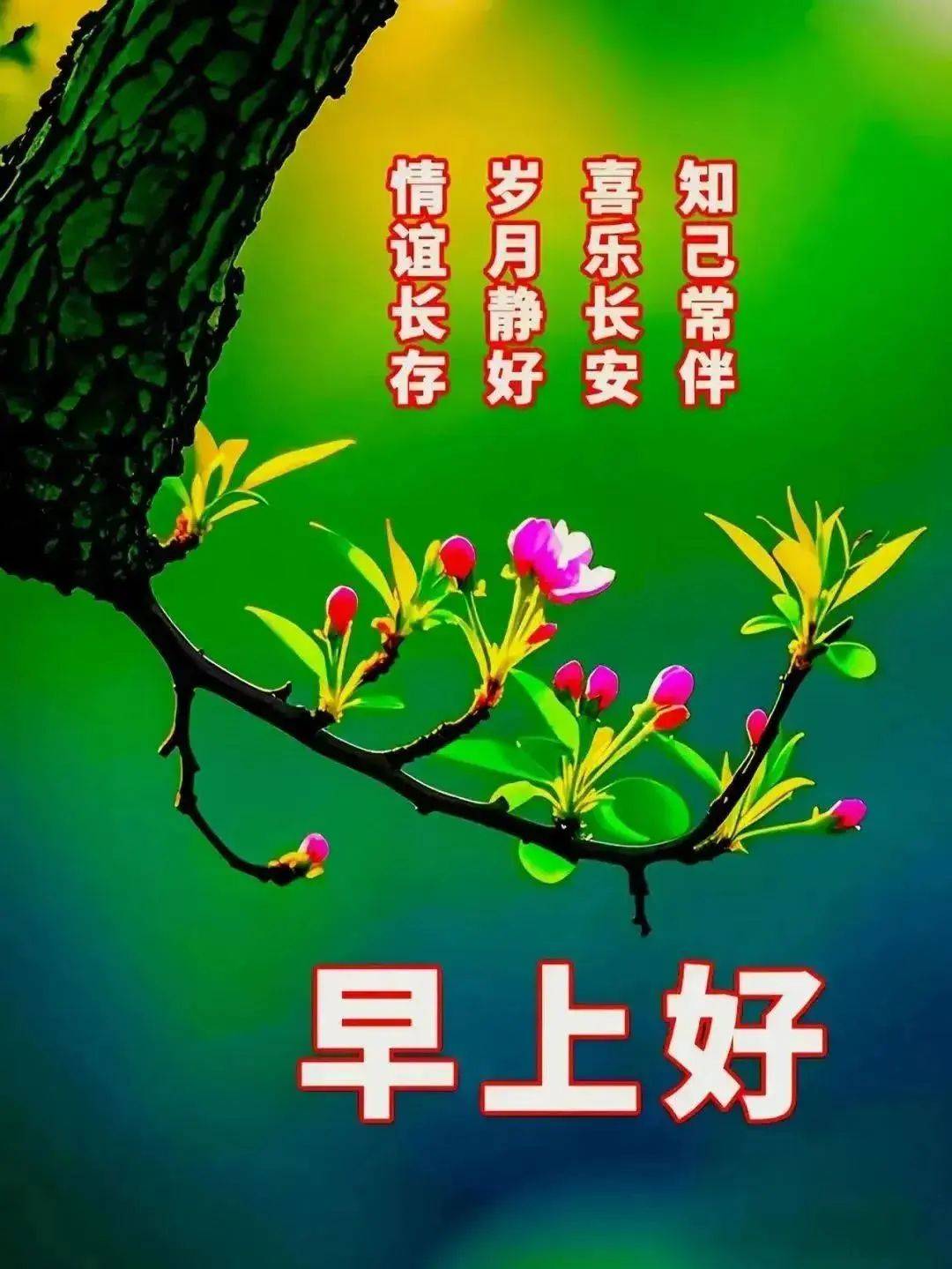 18句早上好问候语每日更新,正能量早安,很赞的短句