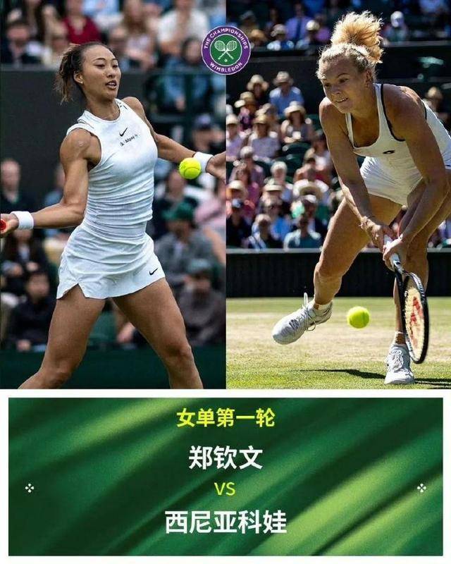 2025温网首轮：郑钦文迎战草地高手西尼亚科娃，张帅再战达尼洛维奇