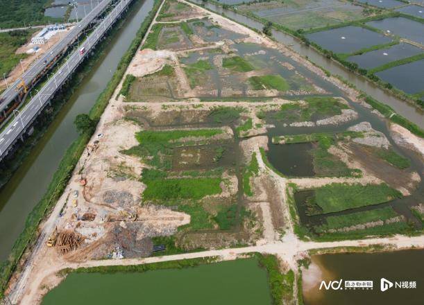 他的吻好甜:曾3次被央督点名，广东中山如何用三年打好治水“翻身仗”？