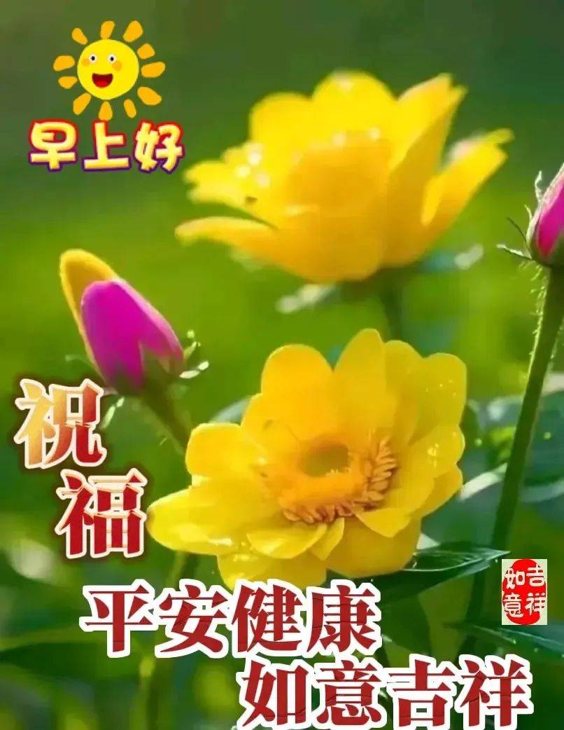 18 2025现在最新版本的超级美丽早安选定的