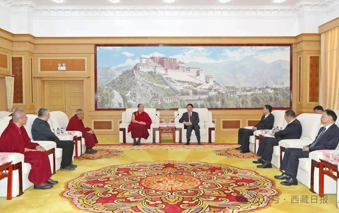 她的冰味棉花糖:西藏自治区党委书记王君正会见班禅额尔德尼·确吉杰布