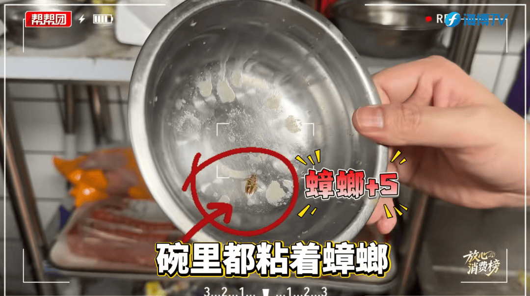 知名品牌牛约堡被曝污垢结块、蟑螂横行 网友:正在吃,哭了(图4)