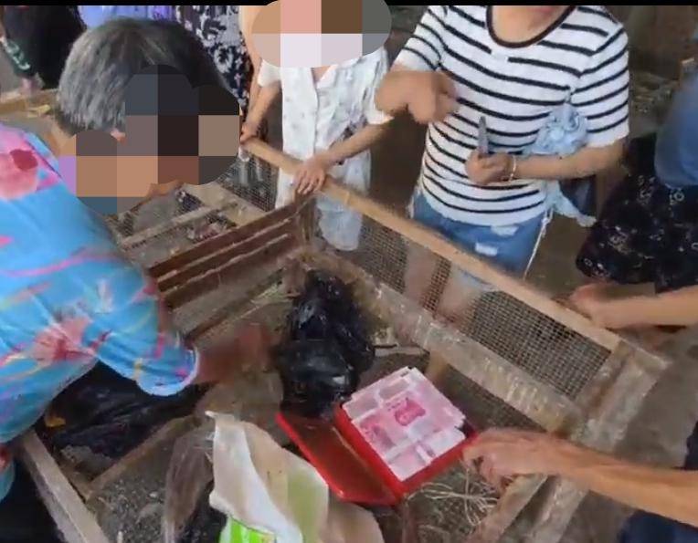 今夜星光似往年:40余万现金被埋火场，两位老人欲冲进去找寻，消防员拦阻并抱出储钱盒……
