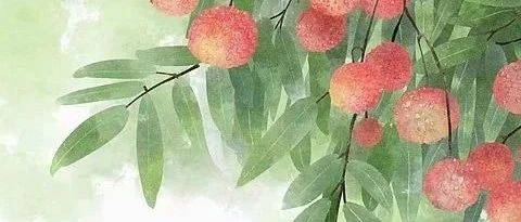 小果核能变成森林？_荔枝_粉红色_水晶