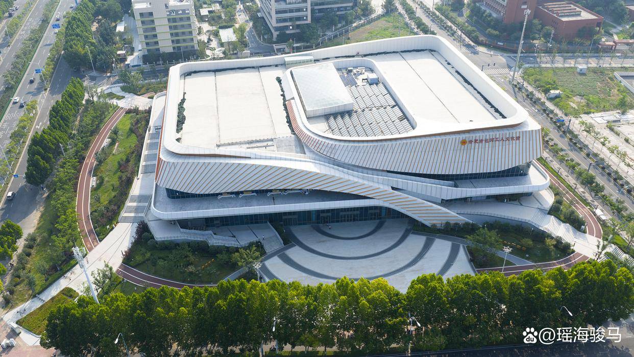 2025合肥包河区少儿乒乓球月赛圆满结束，激发青少年运动热情