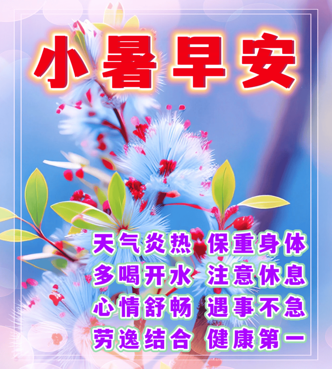 小暑,问候!