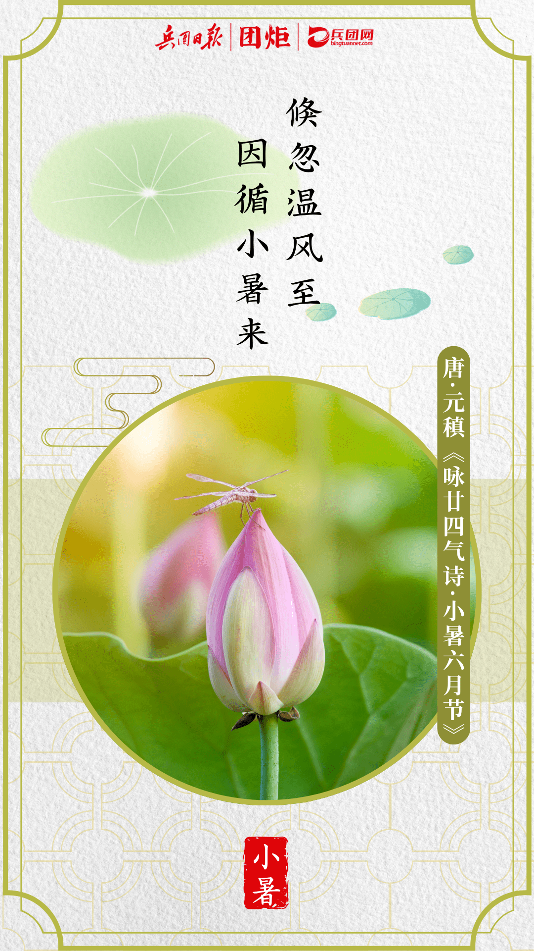 炎炎盛夏正向我们走来小暑过,每日热三分小暑也是夏季的第五个节气二