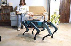 越疆机器人发布六足仿生机器狗