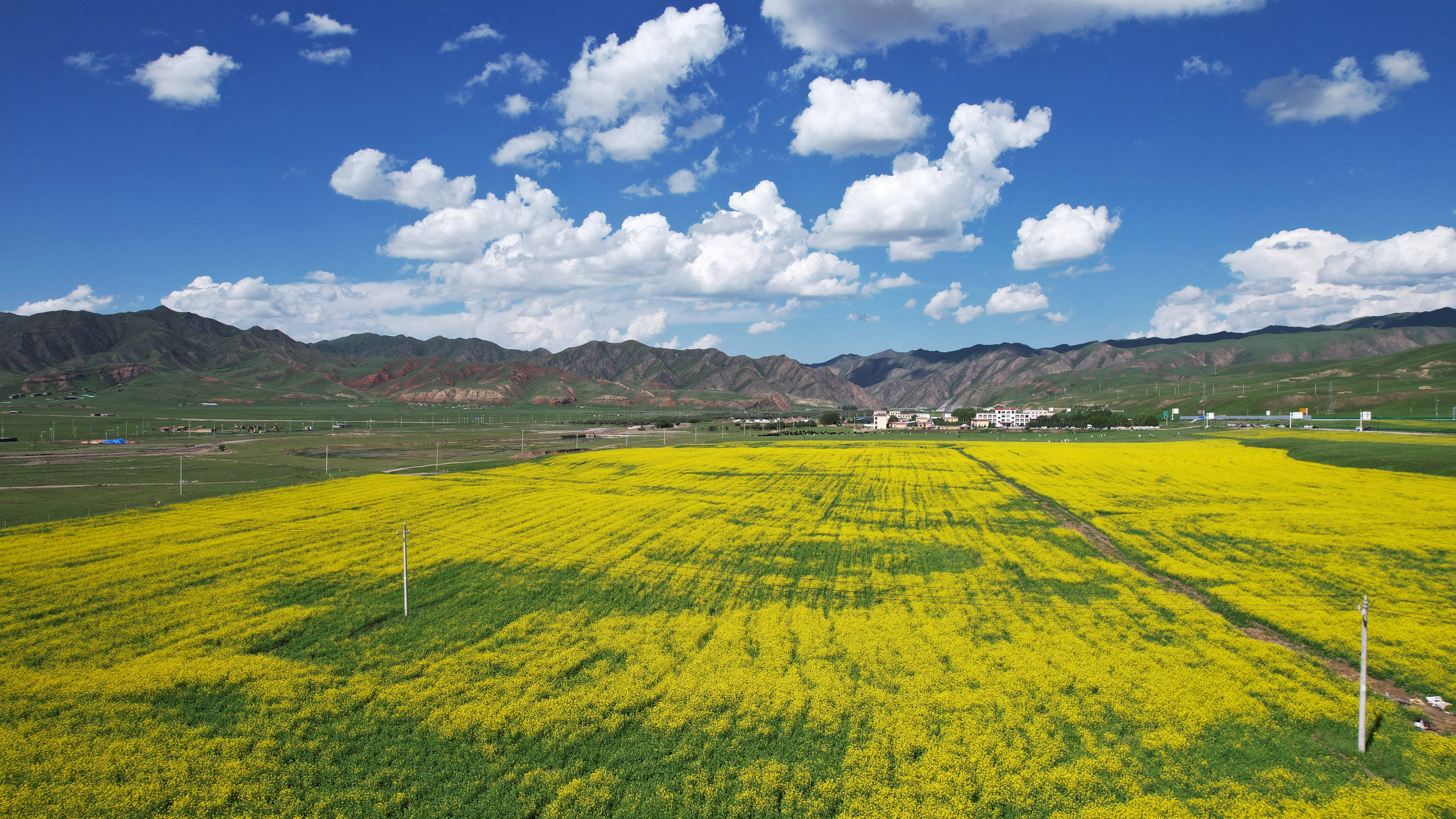 美丽中国丨夏日桑科草原