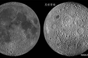 新发现！山东大学团队揭秘