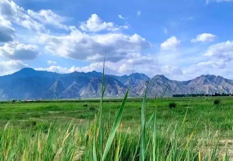 内蒙古纪行之一 敕勒川,阴山下