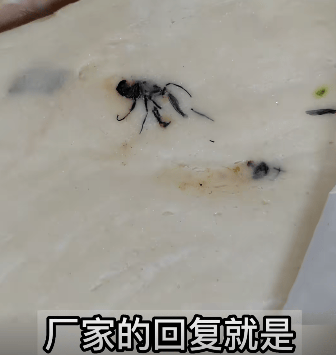 安井手抓饼陷“黑虫”风波:消费者维权遇阻 食品安全引担忧(图7)