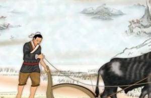 古代木犁，犁过土壤的痕迹中藏着哪些借力土壤的农耕秘密？_犁杆_犁头_角度