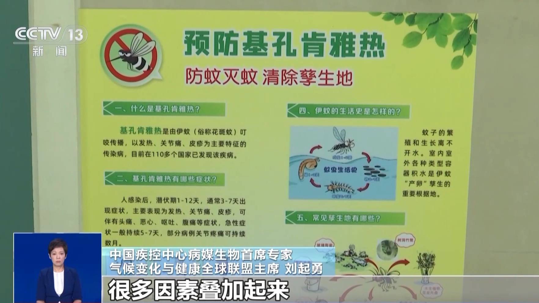 询问问题的结尾|超过4,000例确认的案件，Chikung