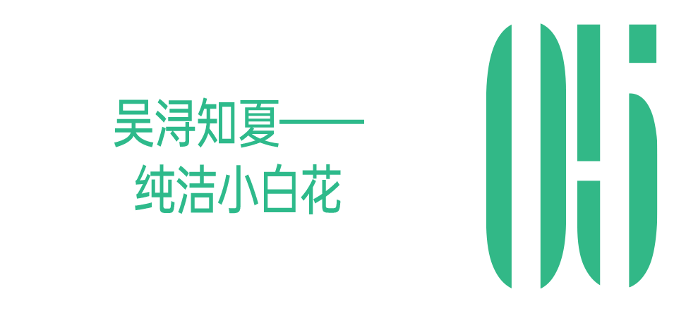 00小花，怎么不算人均母胎美人呢？