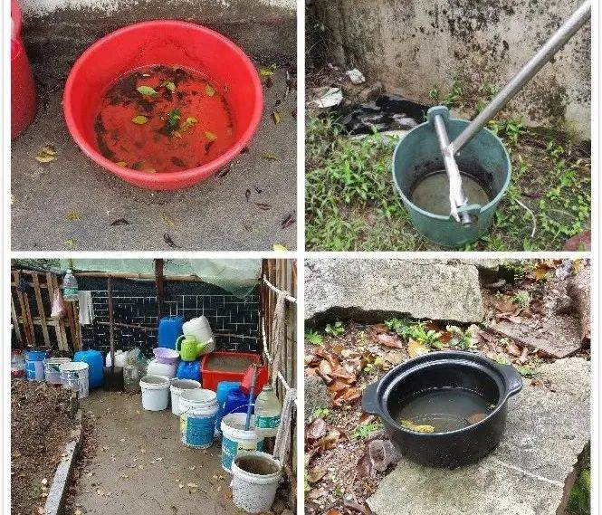 蚊子竟然能从这里来，你家也有！赶紧端了！