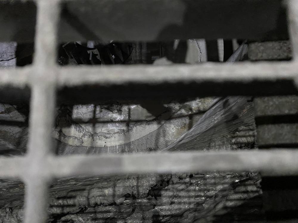 在Northheast University