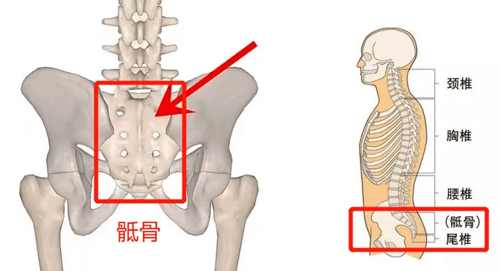 一身气血的总开关,竟然藏在屁股后面?