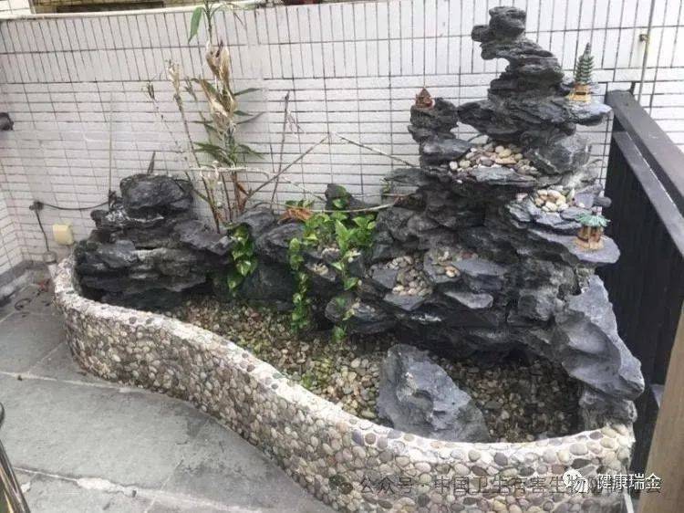 蚊子竟然能从这里来，你家也有！赶紧端了！