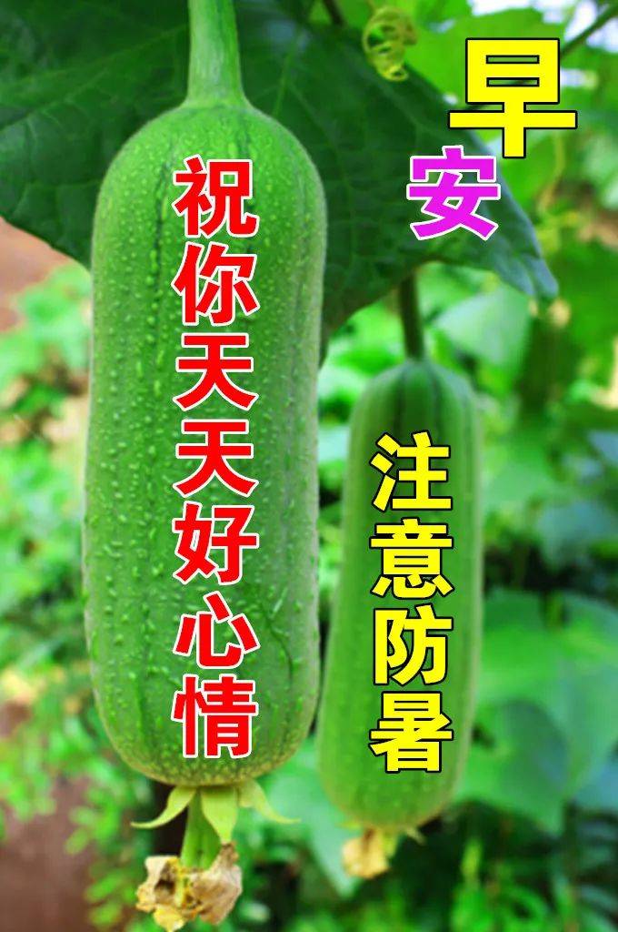 7月26日夏季早上好动态表情图片大全,天气炎热,注意防暑 识不足则多虑