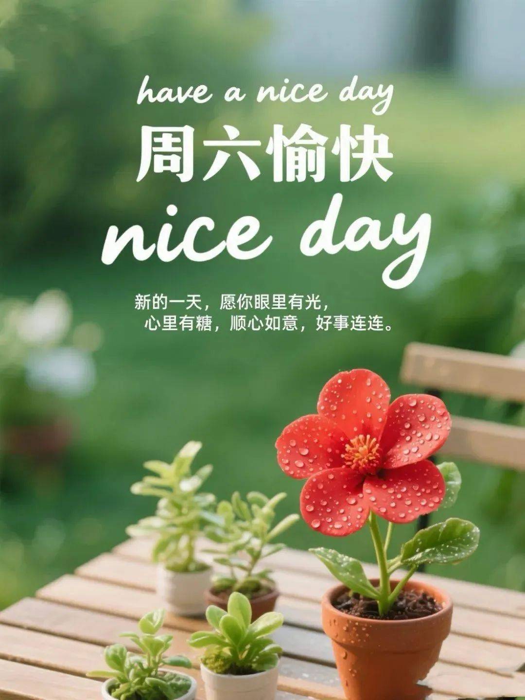 周六愉快最新版美图,精选8张高级漂亮雅致早上好图片,适合今天发朋友