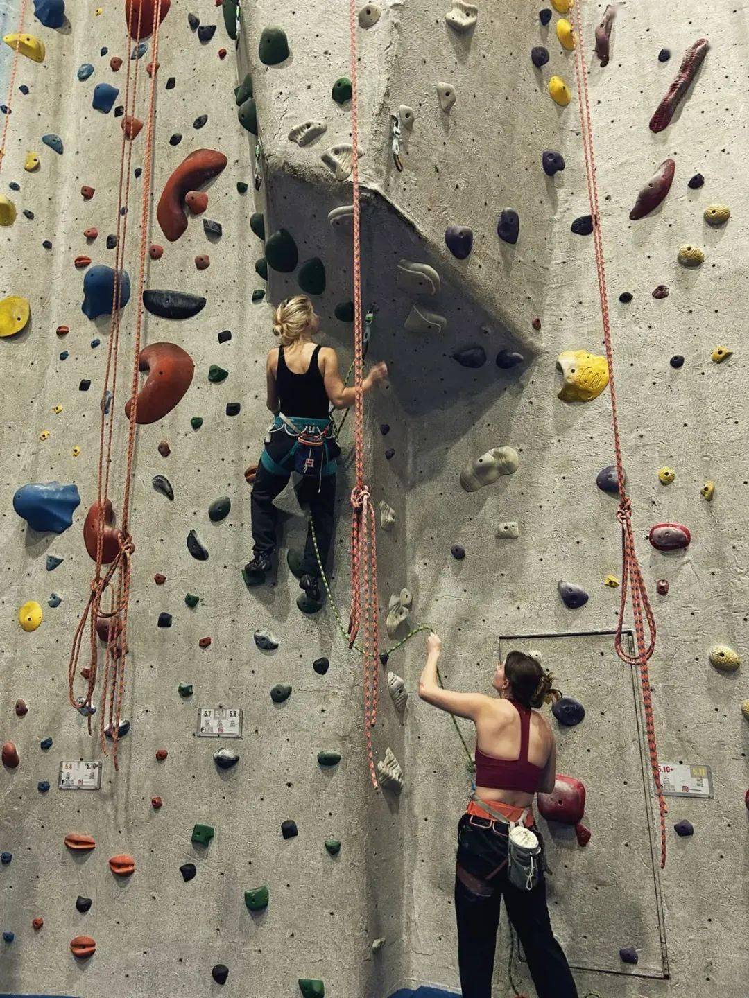 上完班去上墙,攀岩正在填满年轻人的生活缝隙?