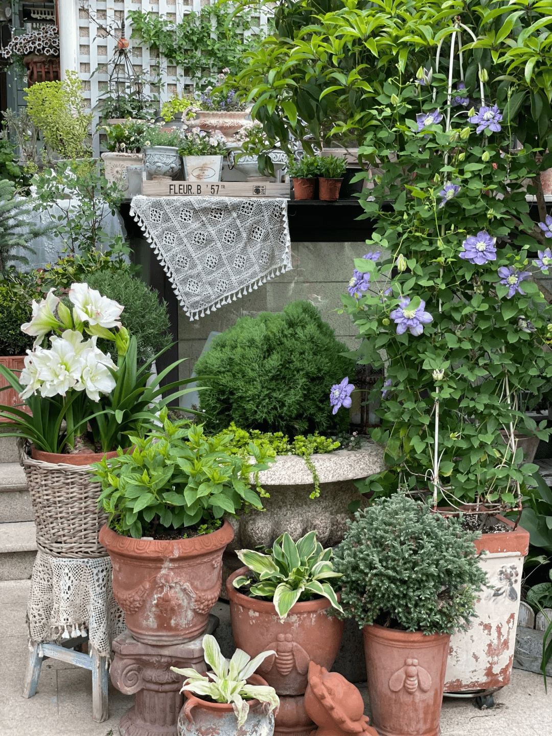 自从有了院子,我成了一个捡垃圾的