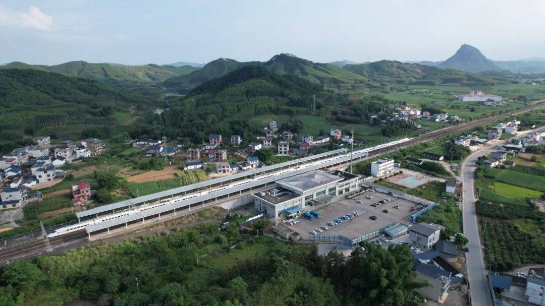 村里砍树，为啥要向铁路报备？