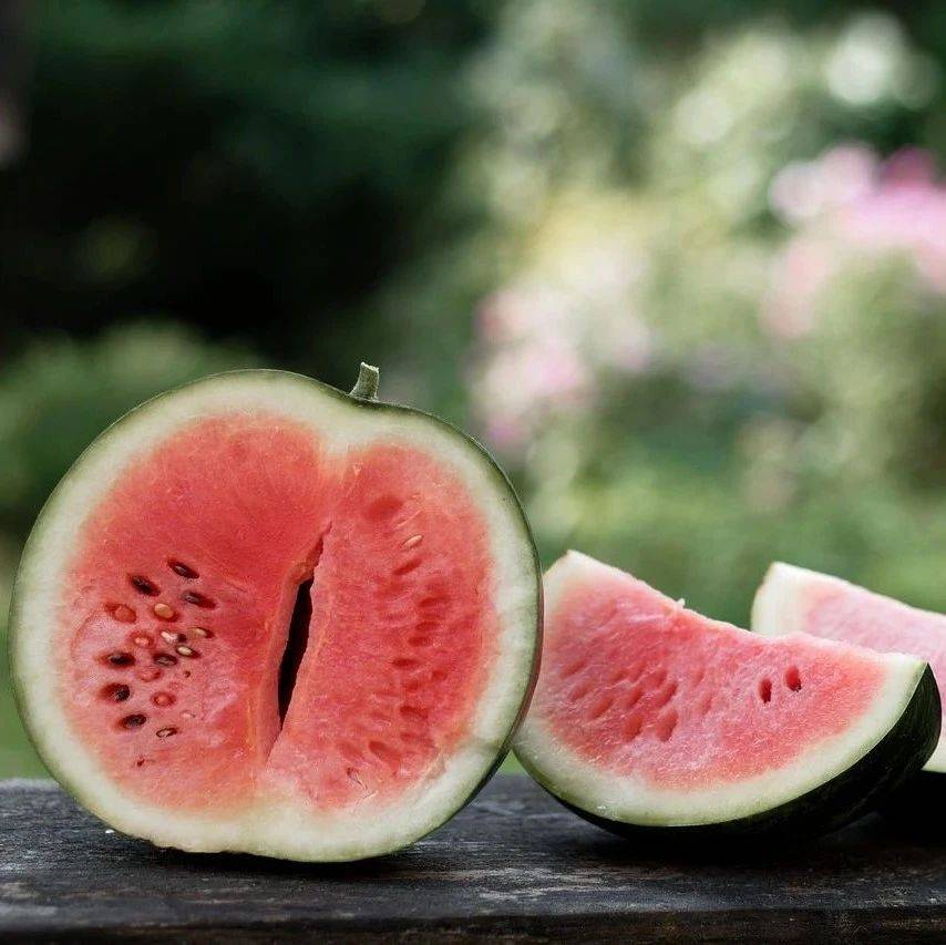 夏瓜甘甜_苏琼_瓜果_召平