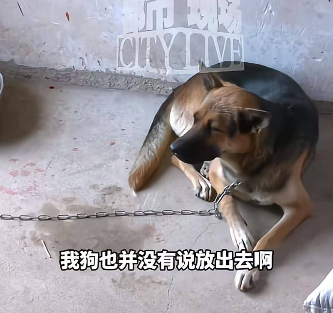 9岁男孩去同学家串门被拴住的狗咬伤引赔偿纠纷，狗主应担责吗？律师释法