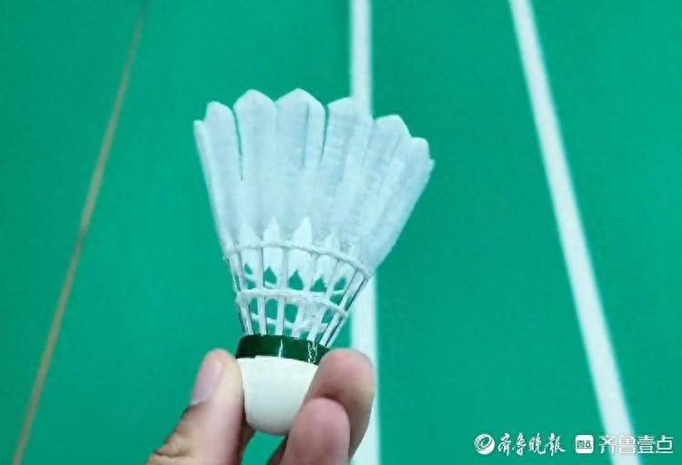羽毛球价格飙升与市场变革：未来谁将主导？