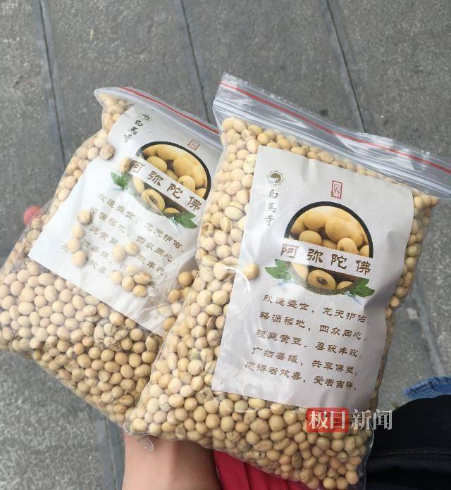 实探印乐方丈管理下的白马寺：僧人顶着38摄氏度高温种地，义工称寺里一直是农禅并重