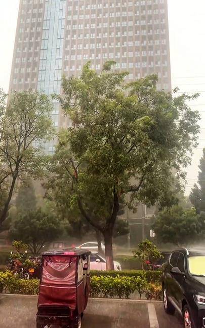 久旱逢甘霖！河南周口等地迎暴雨“解渴”