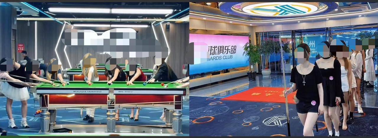 “美女助教”成“流量密码” 是谁让台球助教变了味？