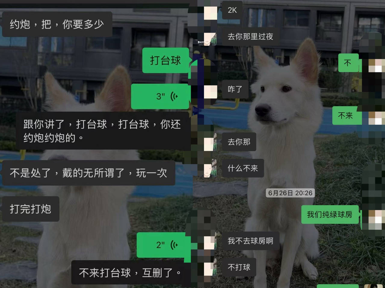 “美女助教”成“流量密码” 是谁让台球助教变了味？