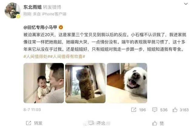 东北雨姐账号10月解封？官方回应：整改到位可继续直播带货