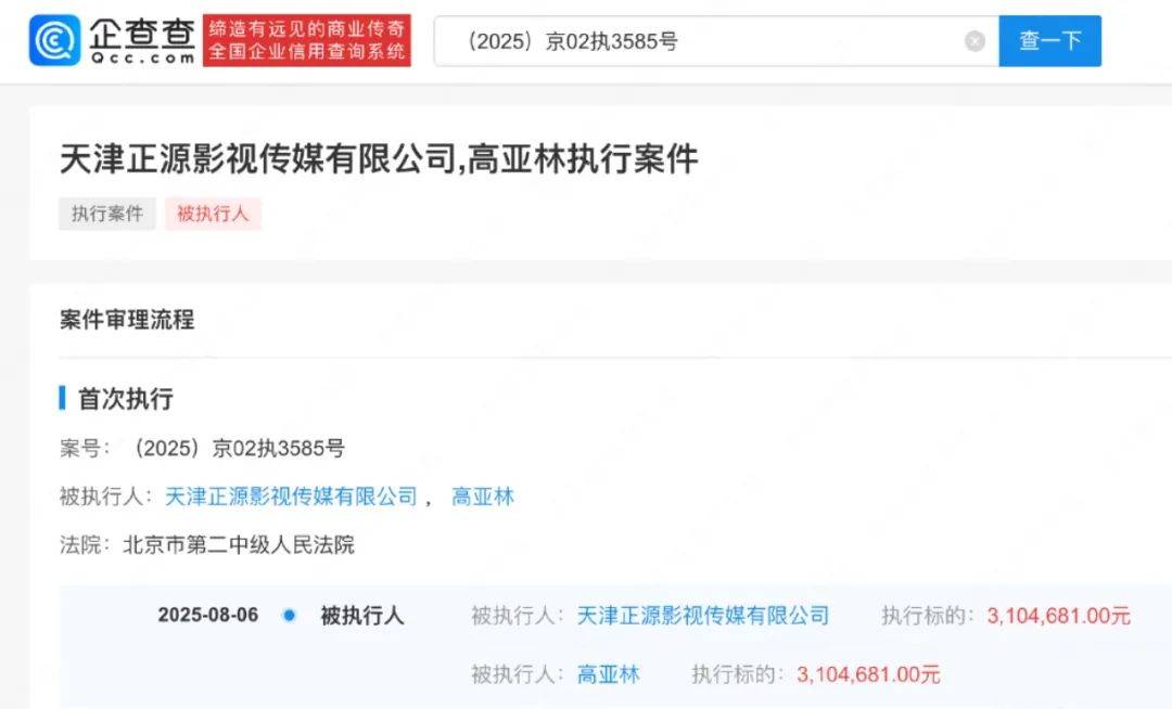 《家有儿女》“夏东海”扮演者高亚麟，被执行310万余元！